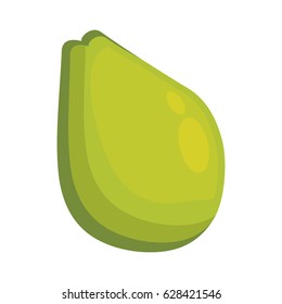Avocado fresh vegetable