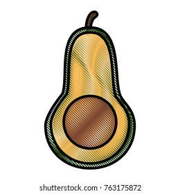 Avocado fresh vegetable