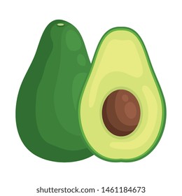 avocado fresh vegetable healthy icon