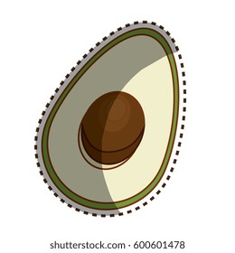 avocado fresh vegetable icon
