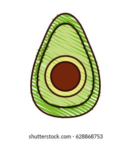 avocado fresh vegetable icon