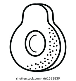 avocado fresh vegetable icon