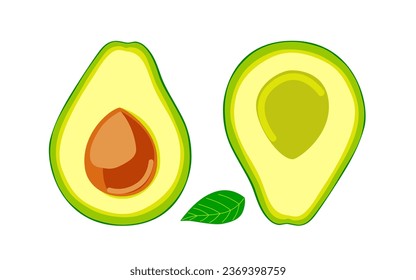 avocado fruit is a beautiful drawing