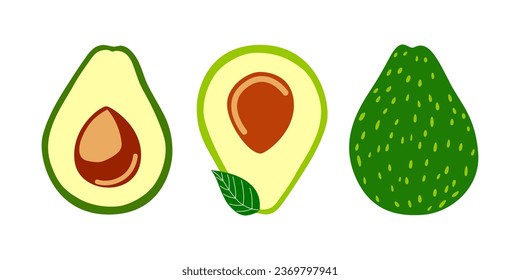 avocado fruit is a beautiful drawing