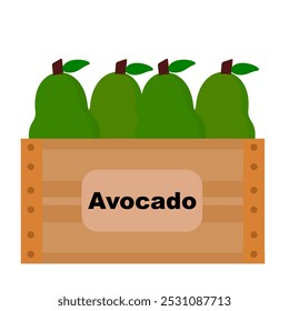 Avocado fruit cartoon style in wooden box clip art vector illustration element isolated in white. fresh fruit illustration