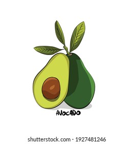 Avocado fruit cartoon vector with half and leaf illustration.