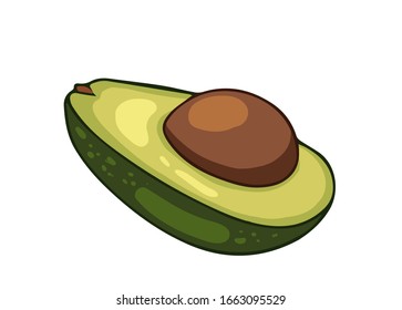 Avocado fruit. Cartoon vector icon isolated on white background.