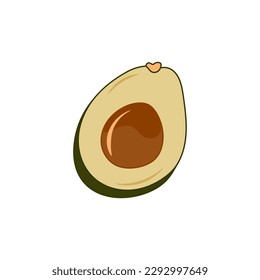 Avocado fruit. Cut in half avocado with pit. Cartoon vector illustration.