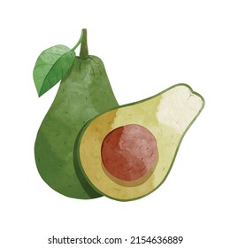 Frutos de aguacate Elementos de diseño. ilustración vectorial de estilo acuarela.