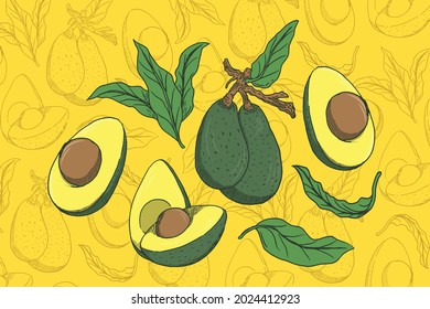 Avocado fruit design vector, from the whole fruit to the one that has been split, everything is there until the leaves