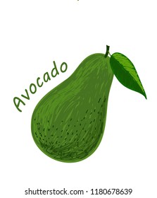 Avocado, fruit doodle drawings vector illustration
