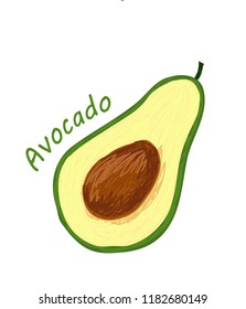 Avocado, fruit doodle drawings vector illustration