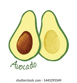 Avocado, fruit doodle drawings vector illustration.
