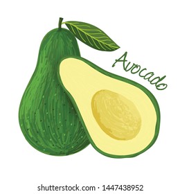 Avocado, fruit doodle drawings vector illustration