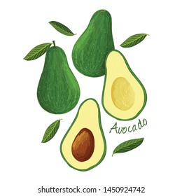 Avocado, fruit doodle drawings vector illustration