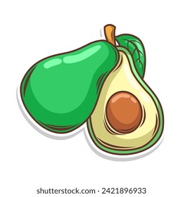 Avocado fruit  doodle hand draw  vector illustration