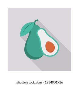 avocado   fruit   food 