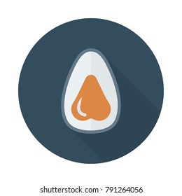 avocado fruit food 