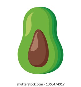 avocado fruit fresh