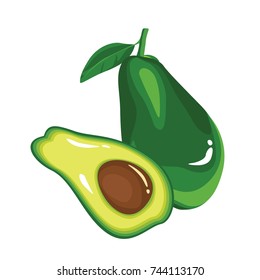 Avocado Fruit Fresh Realistic Vector