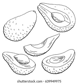 Avocado fruit graphic black white isolated sketch illustration vector