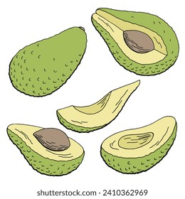 Avocado fruit graphic color isolated sketch illustration vector 