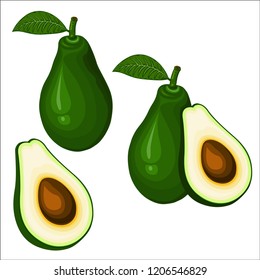 Avocado fruit with a green leaf isolated. Vector illustration Eps 10.vector high detail. Detailed realistic ripe fresh avocado.