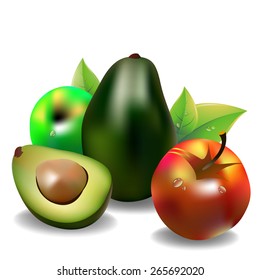 avocado fruit green vector food apples leaves