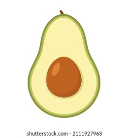 Avocado fruit. Half avocado with brown seed. Vector isolated on white.