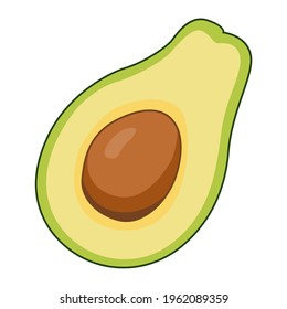 avocado fruit half illustration isolated vector