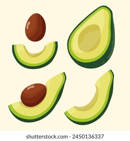 Avocado fruit half, quarter , with and without seed. Vector illustration isolated on light background