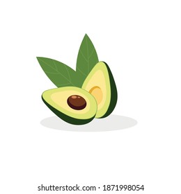 Avocado fruit halved, vector illustration isolated on white background.