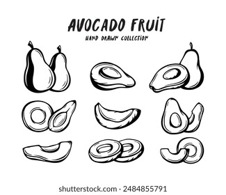 Avocado fruit hand drawn concept on white background