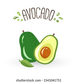 Avocado fruit hand drawn vector illustration isolated on white background.