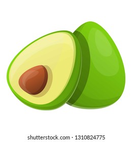 Avocado fruit icon. Cartoon of avocado fruit vector icon for web design isolated on white background