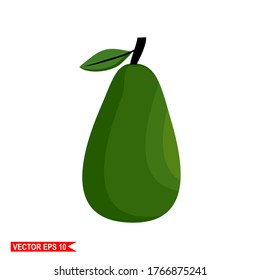 
avocado fruit, illustration of avocado fruit with flat style.