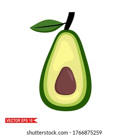 
avocado fruit, illustration of avocado fruit with flat style.