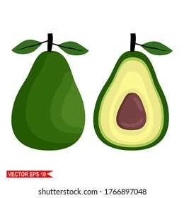 
avocado fruit, illustration of avocado fruit with flat style.