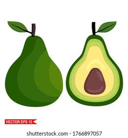 
avocado fruit, illustration of avocado fruit with flat style.