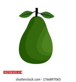 
avocado fruit, illustration of avocado fruit with flat style.
