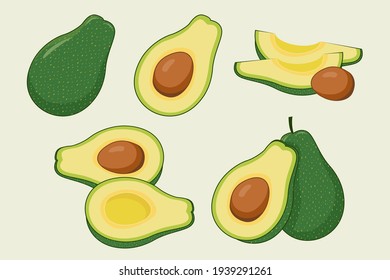 Avocado fruit illustration set, collection\