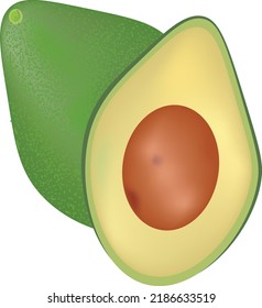 Avocado-Obstgrafik, frische Früchte
