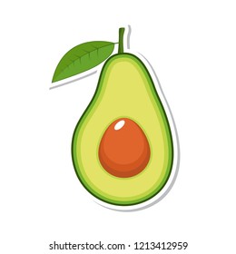 Avocado fruit. Isolated fruit on white background. Vector illustration.