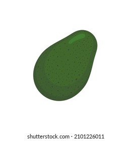 Avocado fruit isolated on a white background. Vector illustration