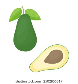 Avocado fruit isolated on a white background. Vector illustration, icon of fruits. Whole and chopped avocado in a hand-drawn style.