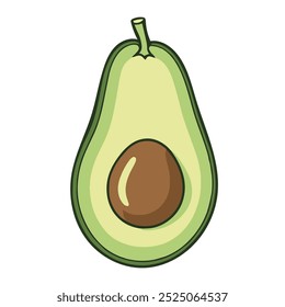 Avocado fruit isolated on white background, vector illustration. Sliced avocado with seed.