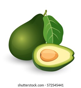 Avocado fruit isolated on white. Ripe avocado cut in half with leaf realistic vector illustration. Alligator pear fruit, large berry containing a single seed.