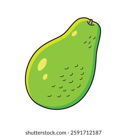 Avocado fruit isolated vector illustration