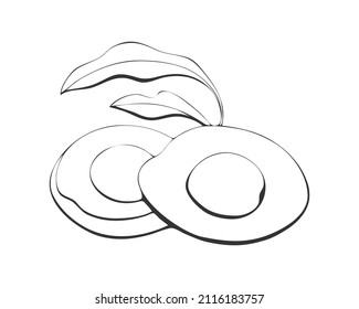 Avocado fruit and leaf contour, silhouette . Isolated. Vector illustration