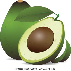 Frutos de aguacate con hojas ilustrativas vectoriales. Aguacate entero, medio, rebanado, hojas sobre fondo blanco.
